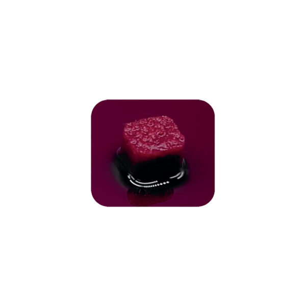 THE Graft Ring - 5x5x8mm - 100mg - Imagem 2